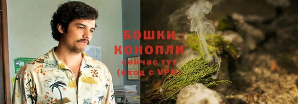дживик Богородицк