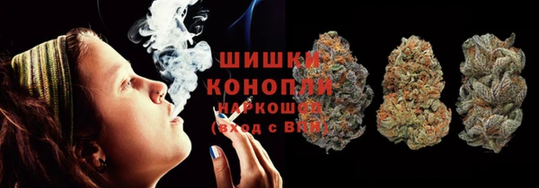 дживик Богородицк