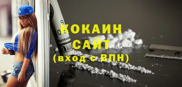 дживик Богородицк