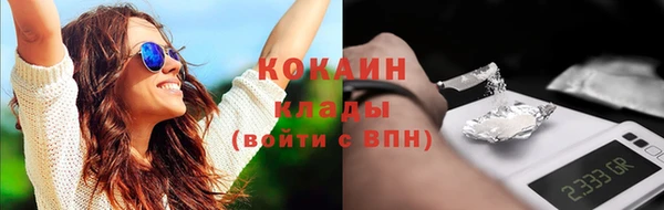 дживик Богородицк
