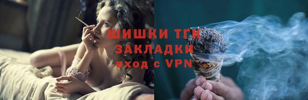 дживик Богородицк