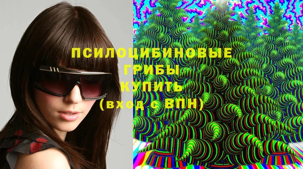 дмт Богородск
