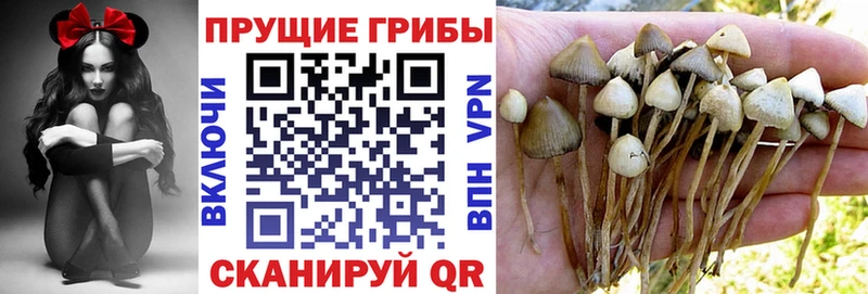 Псилоцибиновые грибы мухоморы  KRAKEN вход  Донецк 